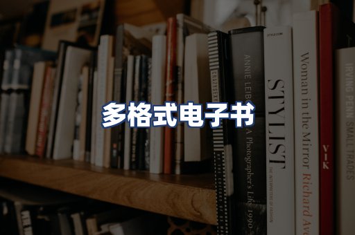 多格式电子书